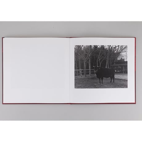 村越としや写真集『火の粉は風に舞い上がる』