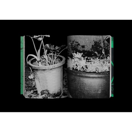 北川浩司写真集『Photography』（発行：AREA BOOKS）緑