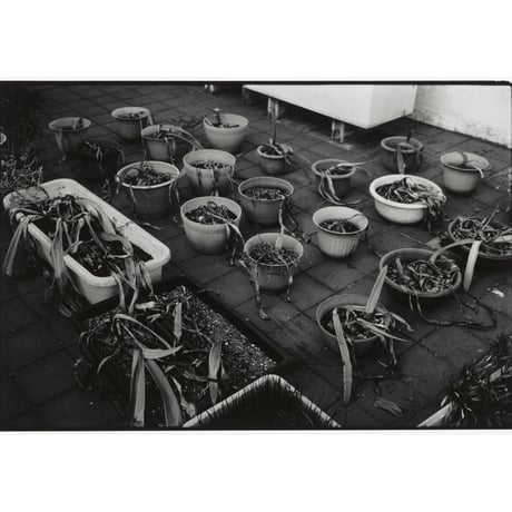 蓮井元彦写真集　『for tomorrow』