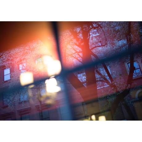 井津由美子写真集『Saul Leiter: In Stillness』特装版