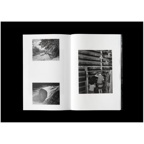 Wouter Van de Voorde『Nucleo』特装版