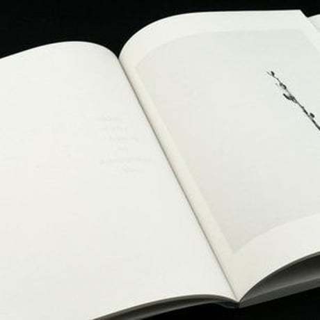 斎藤義典『After the Snowstorm』サイン入り