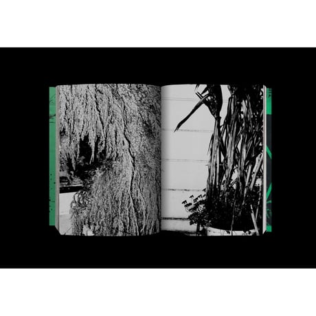 北川浩司写真集『Photography』（発行：AREA BOOKS）緑