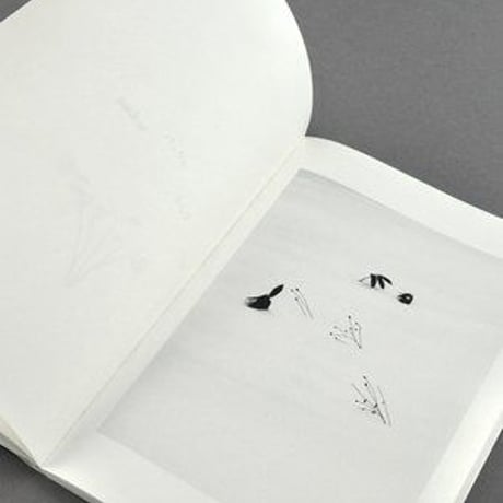 斎藤義典『After the Snowstorm』サイン入り