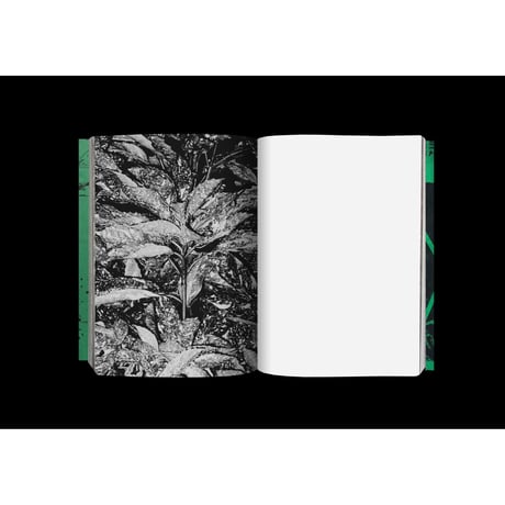 北川浩司写真集『Photography』（発行：AREA BOOKS）緑