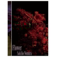 野村佐紀子写真集『愛について』(サイン入り） | libroarte