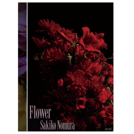 野村佐紀子写真集『Flower』