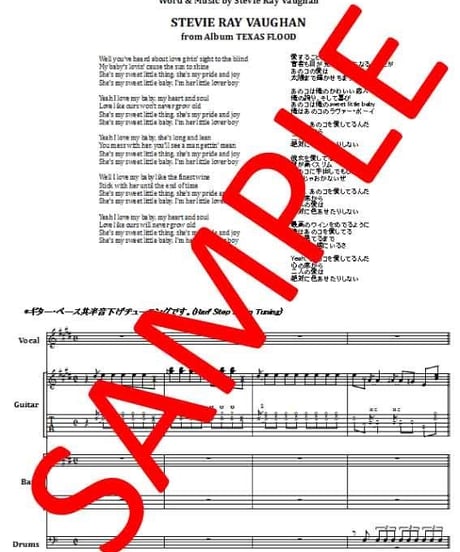 スティーヴィー・レイ・ヴォーン(STEVIE RAY VAUGHAN) / PRIDE AND JOY (プライド・アンド・ジョイ) バンド・スコア(TAB譜) 楽譜