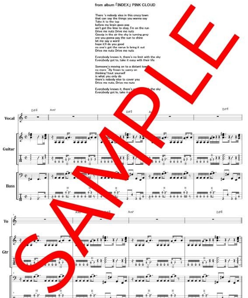 ピンク・クラウド (PINK CLOUD) DRIVE ME NUTS ギター&ベース・スコア