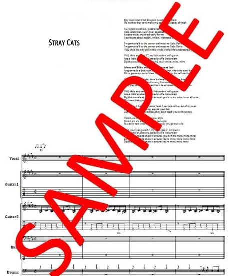 ストレイ・キャッツ(STRAY CATS) / セクシー&セヴンティーン (She's) Sexy + 17 バンド・スコア(TAB譜) 楽譜
