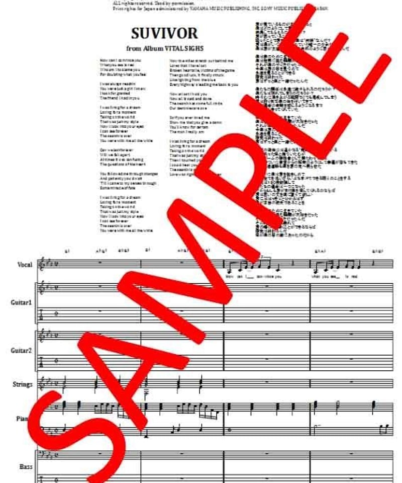 サバイバー(SURVIVOR) / THE SEARCH IS OVER (サーチ・イズ・オー