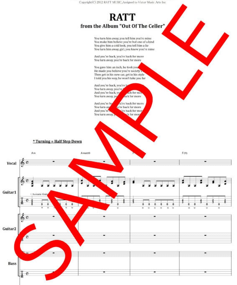 ラット(RATT) / バック・フォー・モア(BACK FOR MORE) ギター