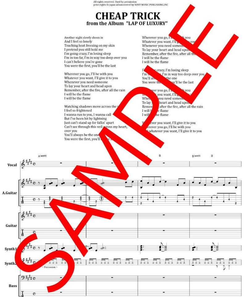 チープ・トリック(CHEAP TRICK) / 永遠の愛の炎(The Flame) バンド