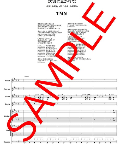 TMN (TM NETWORK) / SELF CONTROL (方舟に曳かれて)  バンド・スコア(TAB譜)  楽譜