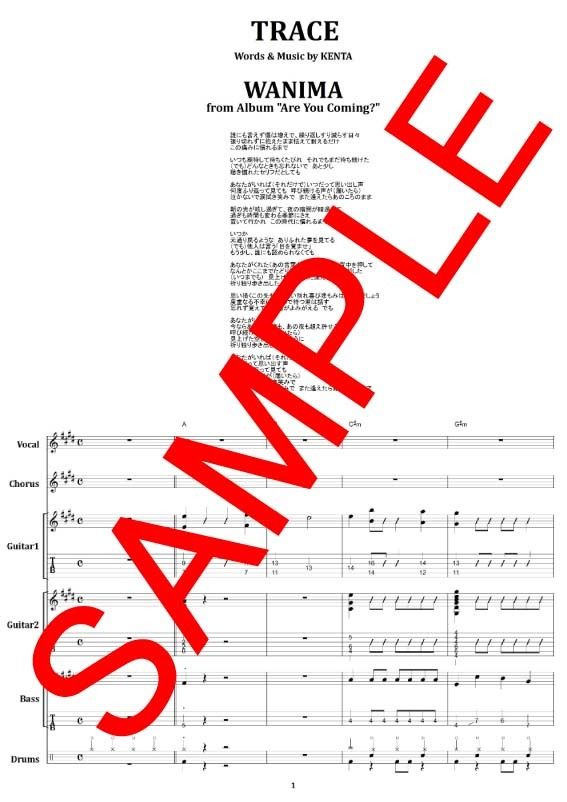 WANIMA TRACE バンドスコア WANIMA (ワニマ) / TRACE バンド・スコア(TAB譜) 楽譜 | from68
