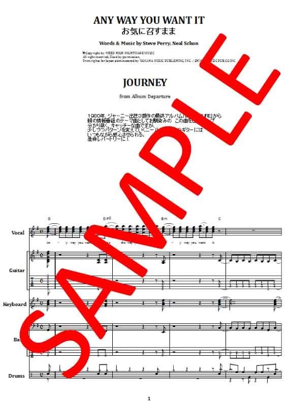 ジャーニー(JOURNEY) / お気に召すまま(ANY WAY YOU WANT IT)