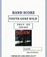 スティーヴィー・サラス(STEVIE SALAS COLORCODE) / START AGA