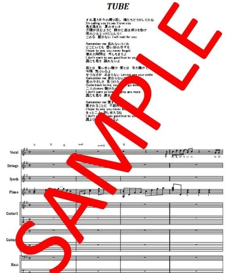 TUBE (チューブ)  / Remember Me （リメンバー・ミー） バンド・スコア(TAB譜)　楽譜