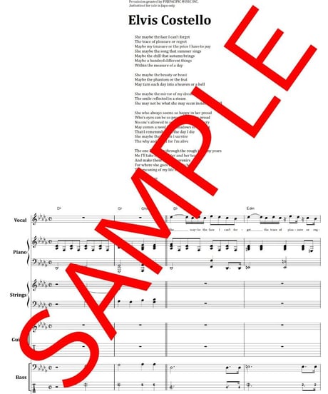 エルヴィス・コステロ(Elvis Costello)  / SHE バンド・スコア(TAB譜) 楽譜