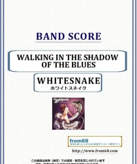 ホワイトスネイク(WHITESNAKE) / Fool For Your Lovin(フール