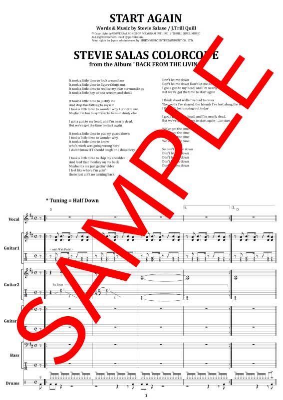 スティーヴィー・サラス(STEVIE SALAS COLORCODE) / START AGA