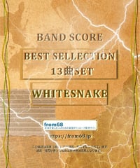 18曲セット】中森明菜 BEST SELECTION バンド・スコア 楽譜 | from68