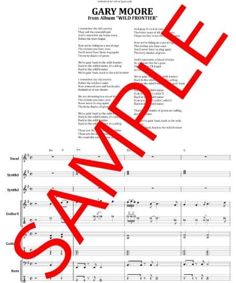 ゲイリー・ムーア (GARY MOORE) / ワイルド・フロンティア(WILD FRONTIER)  バンド・スコア(TAB譜) 楽譜