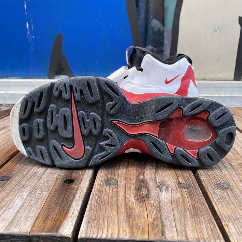 NIKE AIR DT MAX 96