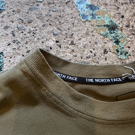THE NORTH FACE STEEP TECH print tee (M)