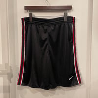 NIKE mesh sport short(L)