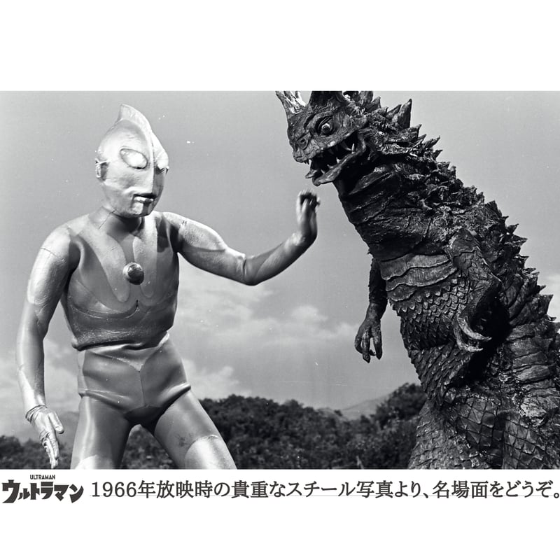 ARAID アレイド ウルトラマン シリーズ 第一弾 宇宙怪獣 ベムラー ARAID アレイド ウルトラマン シリーズ 第一弾 宇宙怪獣 ベムラー