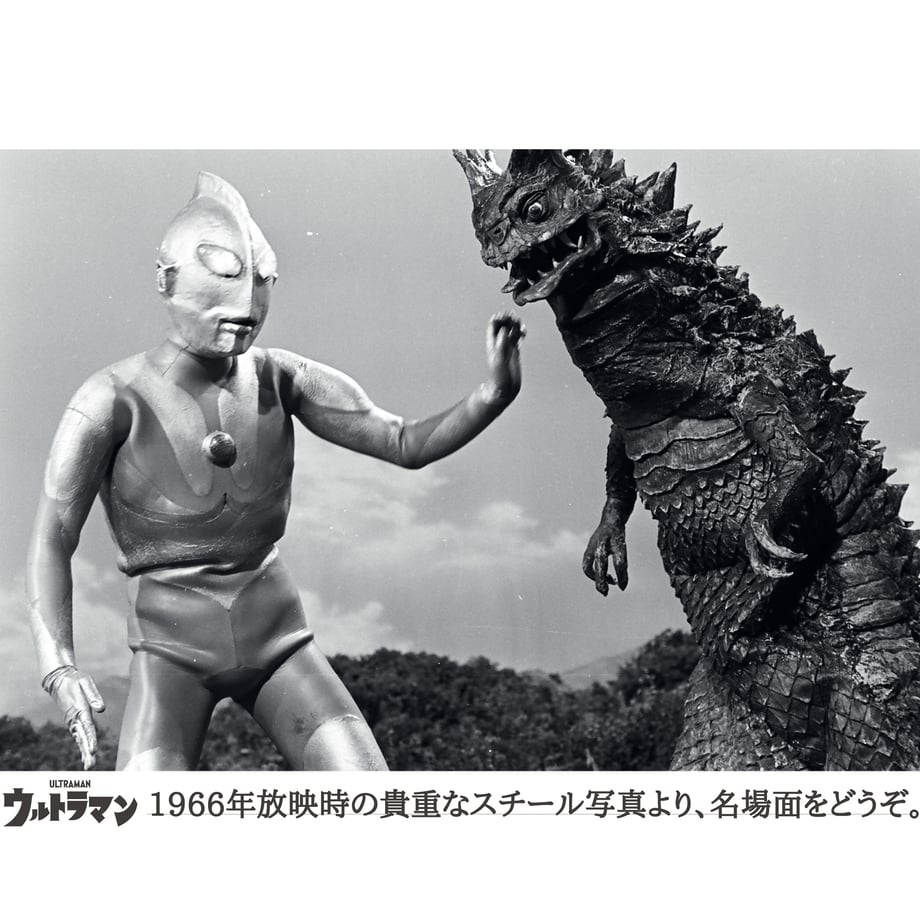 629c46e7b1f1102a9c400081