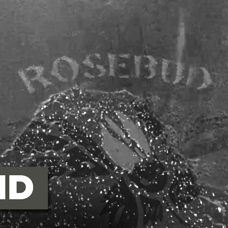 不朽の名作映画『市民ケーン』(1941年)より～CITIZEN KANE T-SHIRTS |