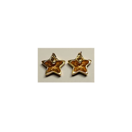 星のピアス