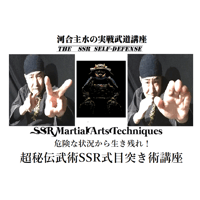 河合主水の実戦武道講座～危険な状況から生き残れ！超秘伝武術SSR式目突き術講座ＤＶＤ