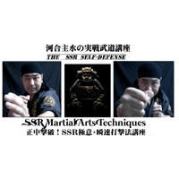 【PC＆スマホ視聴可能】河合主水の実戦武道講座～正中撃破！ＳＳＲ極意・瞬速打撃法講座【ダウンロード販売】
