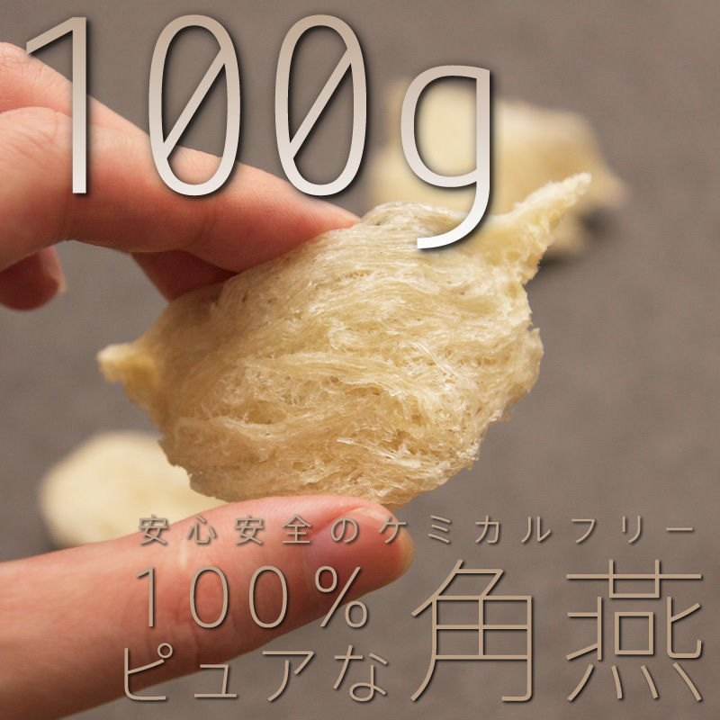 ツバメの巣 三角燕 お肌にぷるぷる 美肌 美容 高級食材 燕の巣 100g