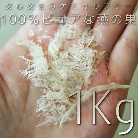 アナ燕の巣(ベトナムニャチャン産高級アナ燕の巣100g)10個 アナ燕の巣(ベトナムニャチャン産高級アナ燕の巣100g)10個 アナ