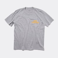 T-3274 / SLANG / CHEESE / GRAY