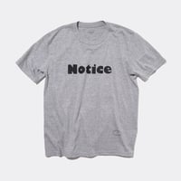 T-3258 / AIN'T / NOTICE / GRAY