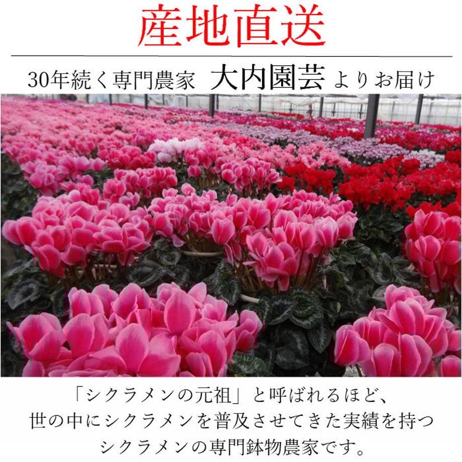 5fb4bfdef0b108531b869a6e