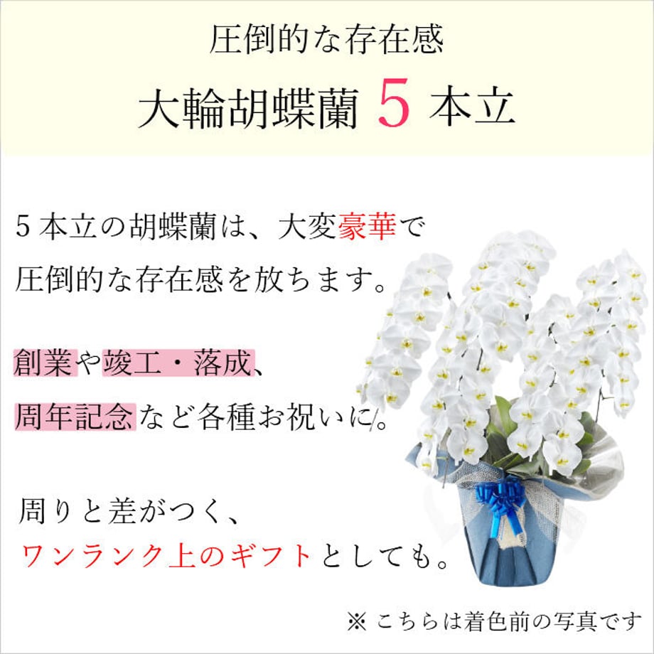 605994f0baeb3a031d7ab818