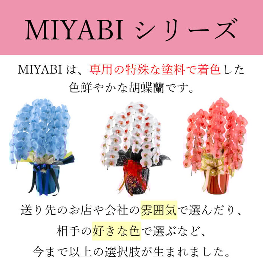 605994f0baeb3a031d7ab818
