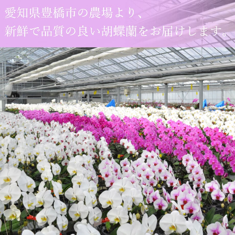 605994f0baeb3a031d7ab818