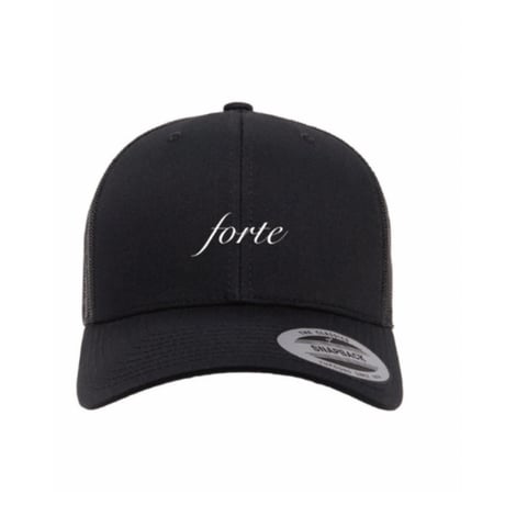 forte Official Mini Logo CAP(2Color)