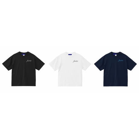 forte Official Embroidery Logo Boxy T(3Color)