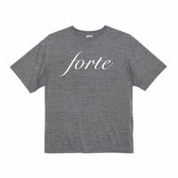 forte Official  Logo Soft Touch Oversized T-shirts(Heather Gray)