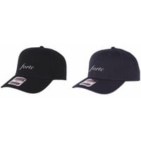 forte Official Logo Mid CAP(2Color)