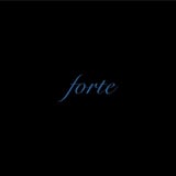 forte Online Shop