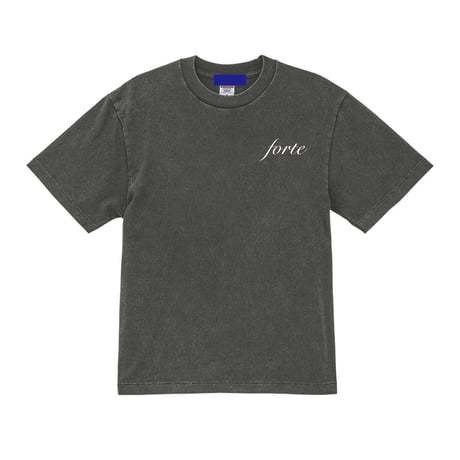 forte Official Logo Fade T-Shirts(4Color)